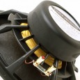 Subwoofer GENESIS AUDIOPHILE 30.01