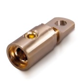 Sinus Live RKS-50