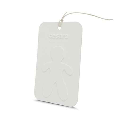 Závěsná vůně Mr&Mrs Fragrance Cesare Scented Card Fresh Air